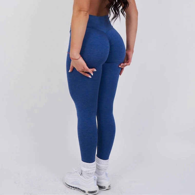 ZenFit
